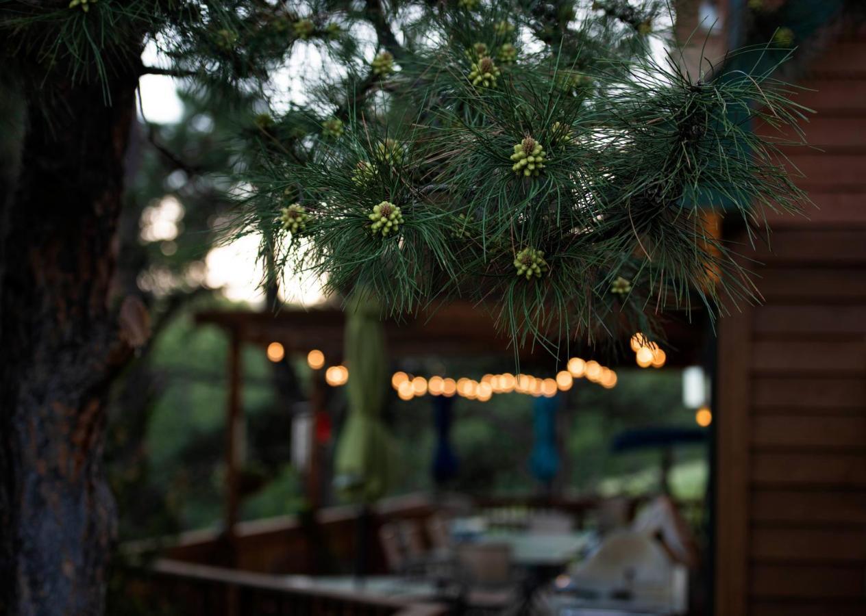 Coyote Blues Village Bed & Breakfast Silver City 外观 照片
